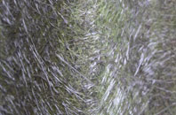 Knowles Hill fibreglass roof work